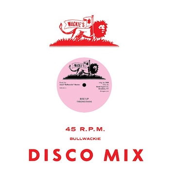 Evans, Tyrone: Rise Up (disco mix) / Rise Up (dub) [12"]