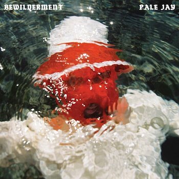 Pale Jay: Bewilderment [LP, vinyle rouge opaque]