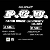 Big Strick: P.C.U. — Paper Chase University [12"]