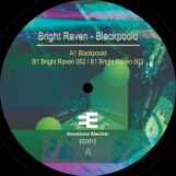 Bright Raven: Blackpoold [12"]