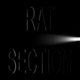 Rat Section: What Stays In Vegas [CD]