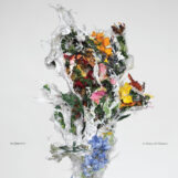 BIG|BRAVE: A Chaos Of Flowers [LP, vinyle rose]