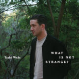 Tashi Wada: What Is Not Strange? [2xLP]